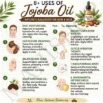 8 uses of jojoba oil