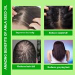 Amla Seed Oil