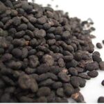 Babchi(bakuchi) Oil
