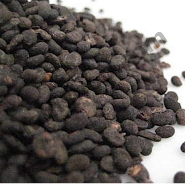Babchi(bakuchi) Oil
