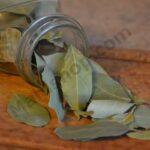 Bay Leaf Essential Oil