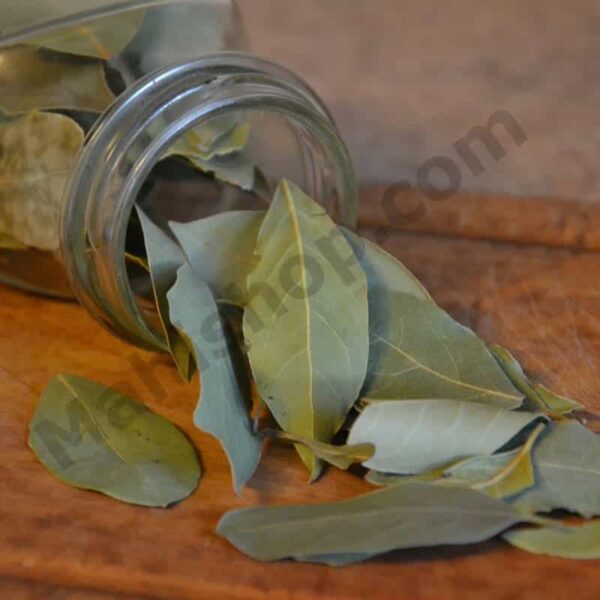 Bay Leaf Essential Oil