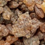 Benzoin Floral Absolute Copy