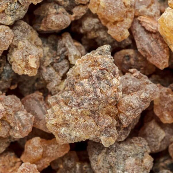 Benzoin Floral Absolute Copy