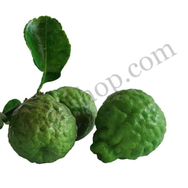 Bergamot Hydrosol
