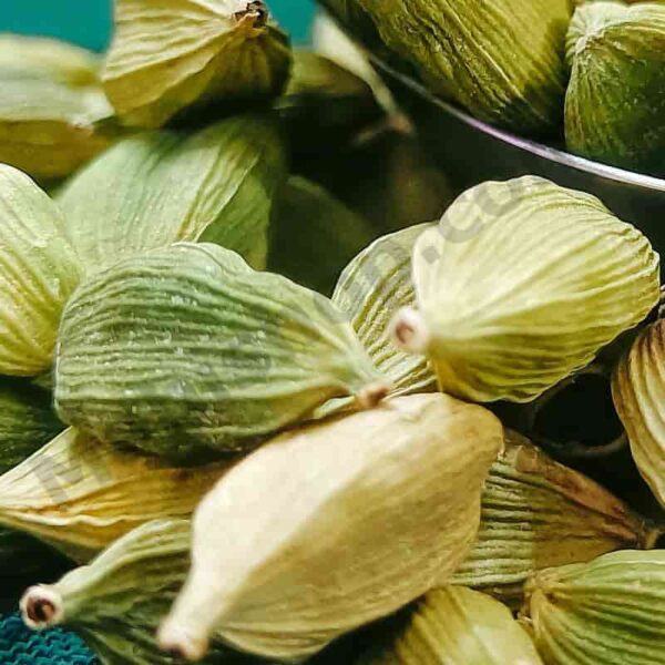 Cardamom Essential Oil