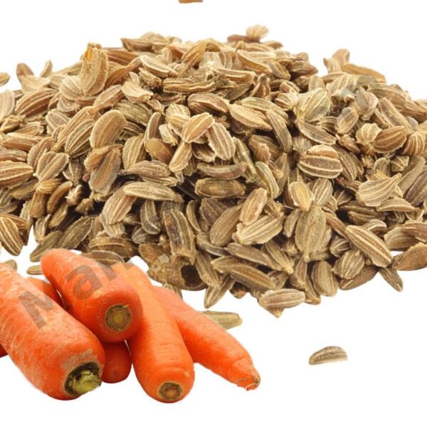 Carrot Seed Carrier Oil