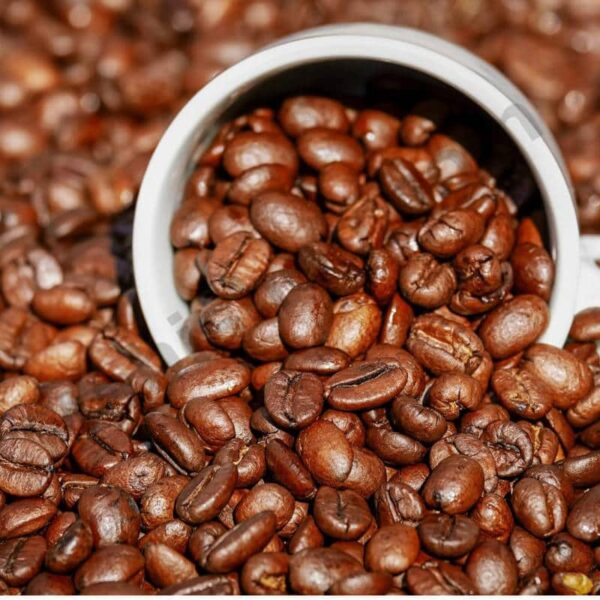 Coffee Bean Oil