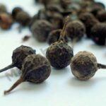 Cubeb Essential Oil
