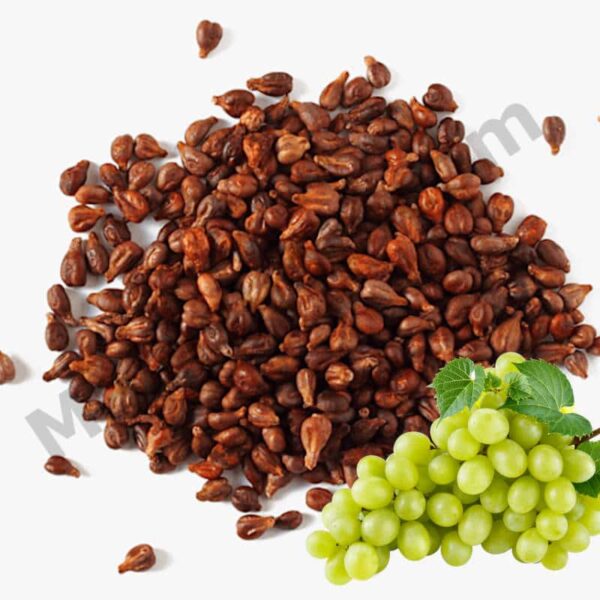 Grape Seed Oil