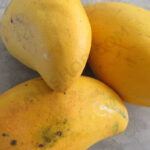 Mango Fragrance Oil