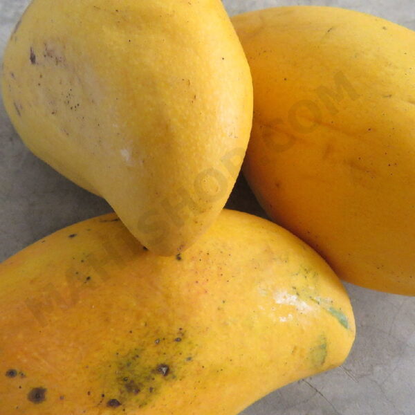 Mango Fragrance Oil