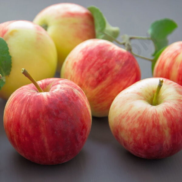 Red Apple Fragrance Oil