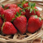 Strawberry Seed Oil