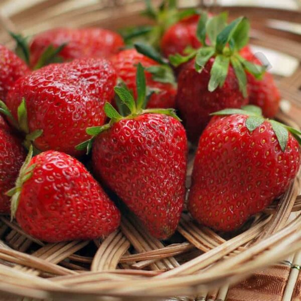 Strawberry Seed Oil