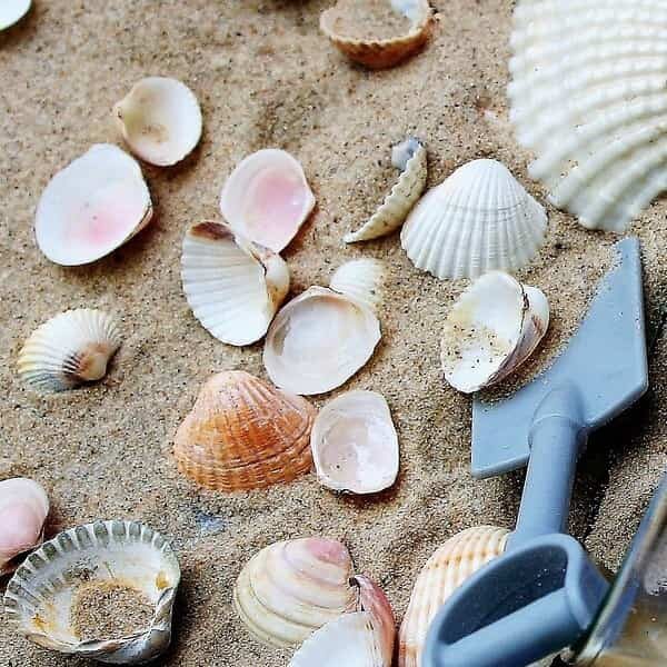Oceanic Mist Fragrance Oil