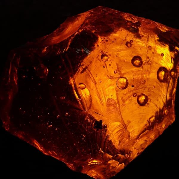 Amber Fragrance Oil