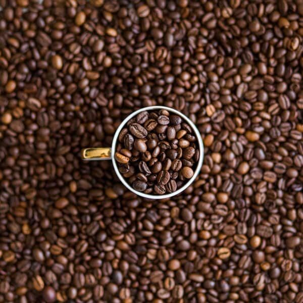 Cappuccino Fragrance Oil