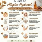 8 uses of allspice hydrosol