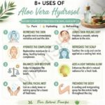 8 uses of aloevera hydrosol