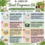 8 uses of basil fragrance oil