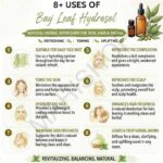 8 uses of bay leaf hydrosol