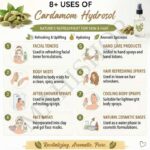 8 uses of cardamom hydrosol
