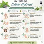 8 uses of catnip hydrosol