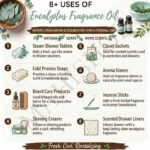 8 uses of eucalyptus fragrance oil