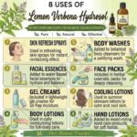 8 uses of lemon verbena hydrosol