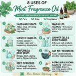 8 uses of mint fragrance oil