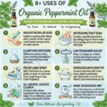 8 uses of organic peppermint oil