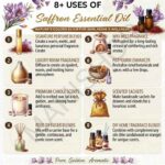 8 uses of saffron essential oil