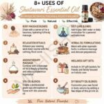 8 uses of shatavari essential oil