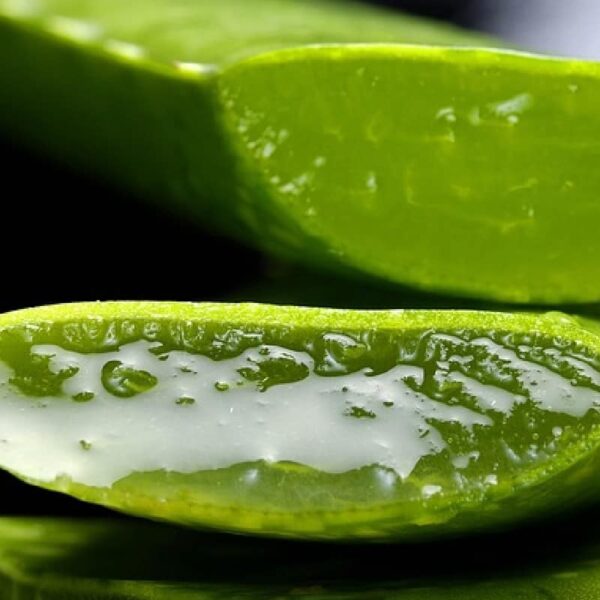 Aloe Vera Hydrosol
