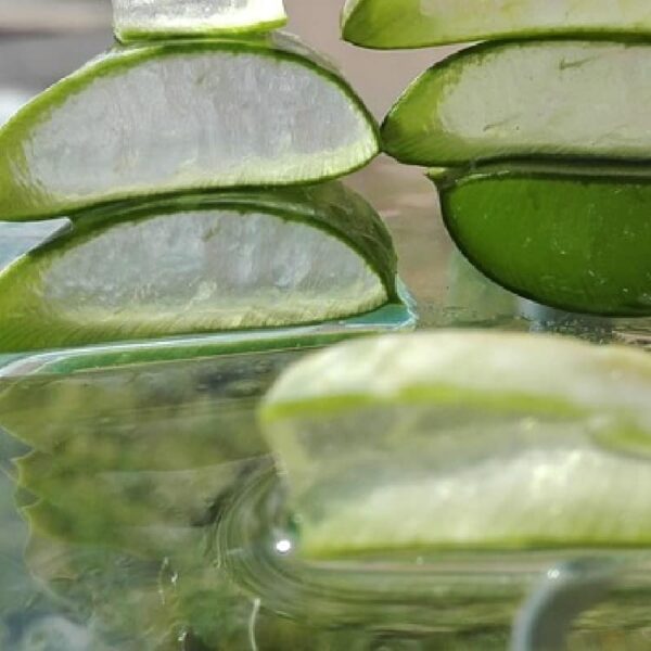 Aloe Vera Infused