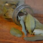 Bay Leaf Hydrosol