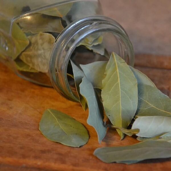 Bay Leaf Hydrosol