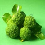Bergamot Fragrance Oil