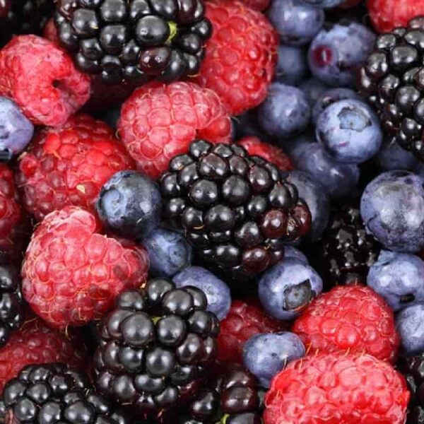 Black Berry Frgrance Oil