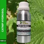 Catnip Hydrosol 1000ml