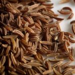 Caraway Hydrosol