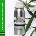 Eucalyptus Fragrance Oil 1000ml