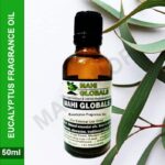 Eucalyptus Fragrance Oil 50ml