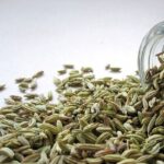 Fennel Seed Hydrosol