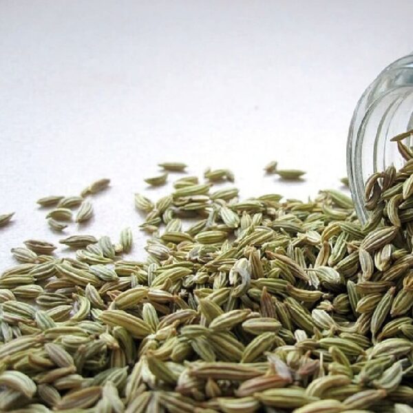 Fennel Seed Hydrosol