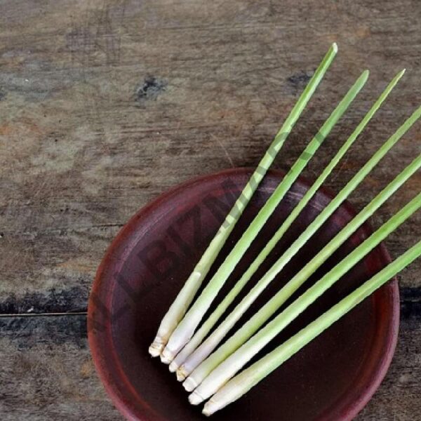 Lemongrass Frangrance Oil