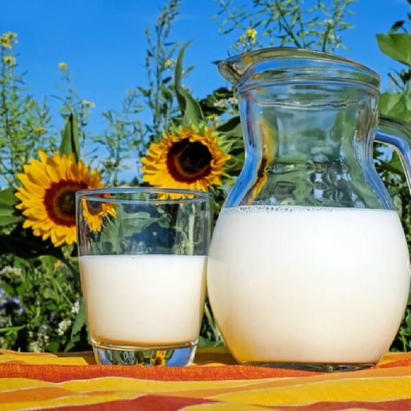 Milk Fragrance Oil