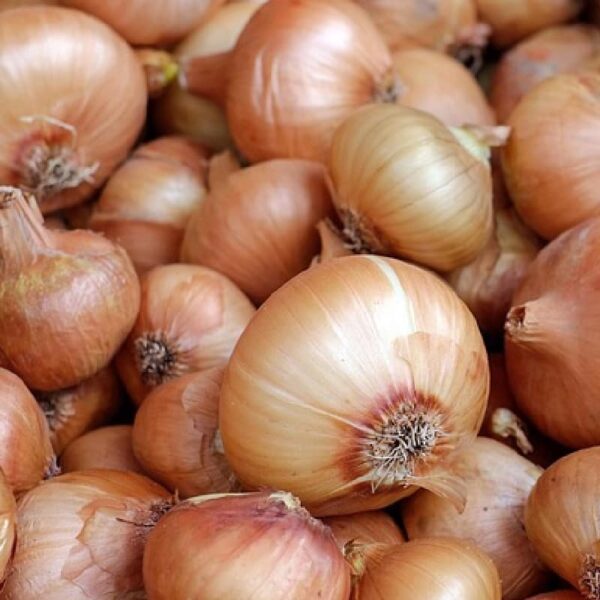 Onion Hydrosol