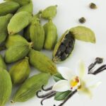 Vanilla Cardamom Fragrance Oil